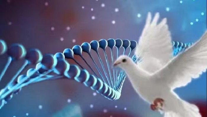 5月23日足球比赛:芬超、瑞典超、意甲、西甲、美职联赛事分析、比分参考(图1)
