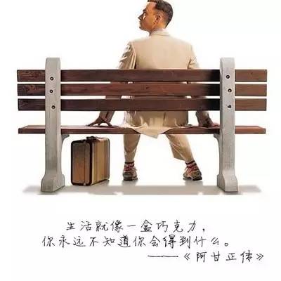 《暴殄甲A(图1)